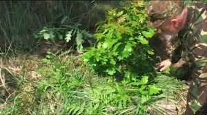 БАТЬКО НАШ БАНДЕРА