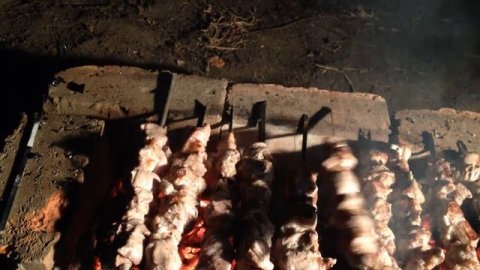 Жарю шашлык на кирпичах ;)