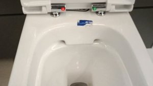 Geberit 500.685.01.1 Комплект підвісного унітаза Geberit Smyle Square Rimfree, з сидінням Sandwich