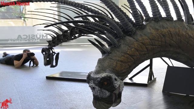 Arjantin’de Sırtı Dikenli Dinozor Keşfedildi: Bajadasaurus Pronuspinax #83 смотреть онлайн