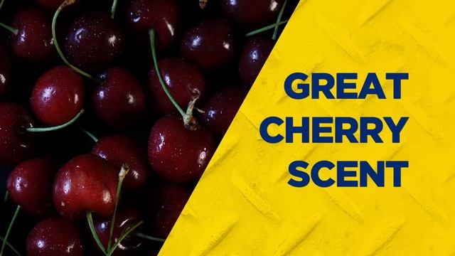 Zep Cherry Bomb Industrial Hand Cleaner смотреть онлайн