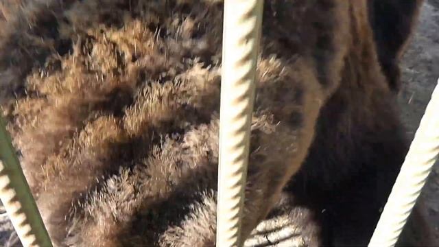 Спокойная семейная жизнь смотреть онлайн