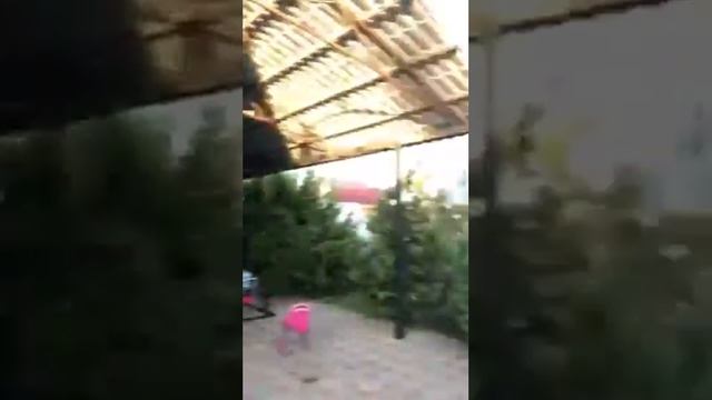 Море, 60 летие Оли смотреть онлайн