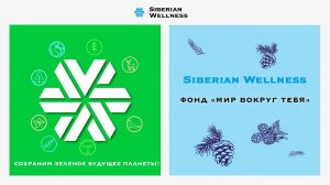 Фонд «Мир Вокруг Тебя». Сохраним зеленое будущее планеты!