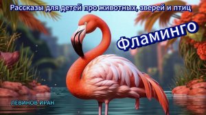 Фламинго. Новая  небольшая интересная сказка. Рассказы для детей про животных и птиц. Левинов Иран