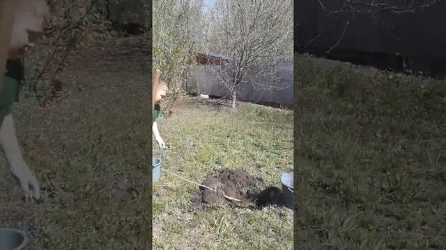 #СадПамятиДома смотреть онлайн