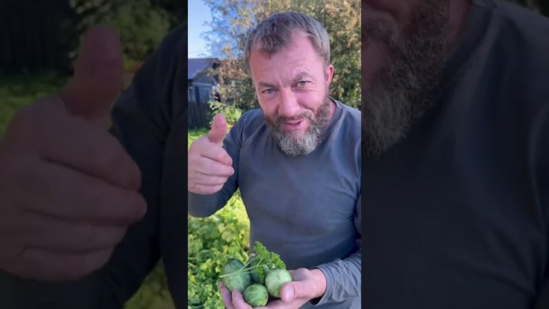 Переехал в деревню и наслаждаюсь жизнью...