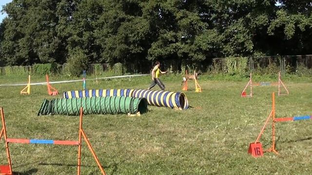 Дима и Динамика. Джампинг. Этап кубка. Харьков. смотреть онлайн