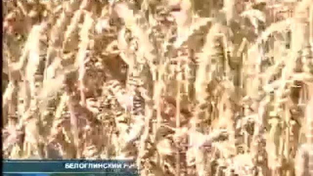 Как учительница урожай собирала смотреть онлайн