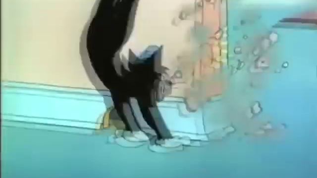 Can Can - Tom and Jerry смотреть онлайн