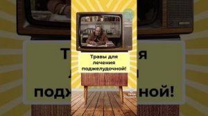 лечение поджелудочной