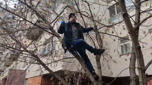 Маэстро Рыба - Анальная вода | Исполнение сидя на дереве