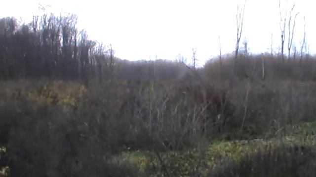 NVEExport.0003.mpg Варвари Гусятинського лісу частина3 смотреть онлайн