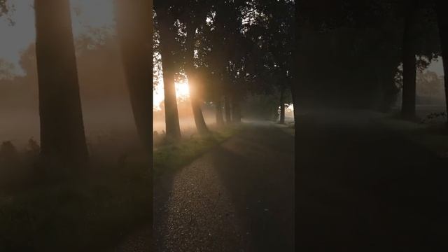 Далеко...