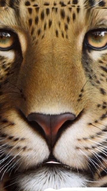 27 июля 2024 г. смотреть онлайн