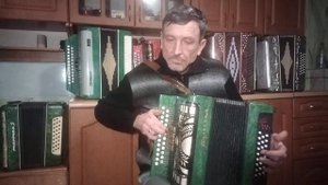 Сіла птаха білокрила на тополю.