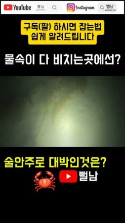 물속이 비추는곳엔 박하지들이 많다 !?