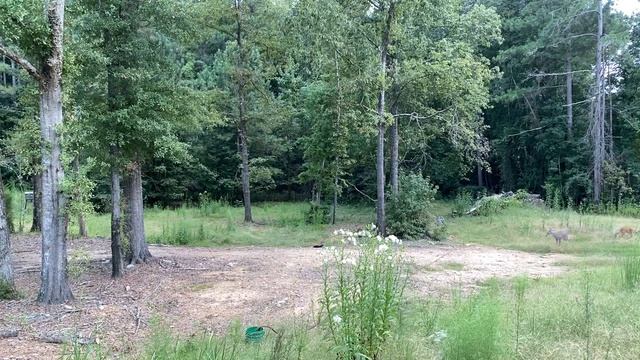 First bow hunt on camera… wait for it!!!! смотреть онлайн