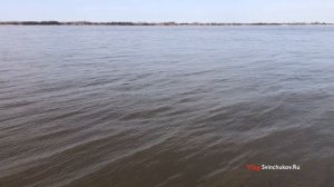 Ранней весной на Амурской протоке