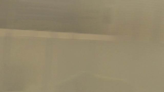 ХК "Профи" 5-0 ХК "Трактор" смотреть онлайн