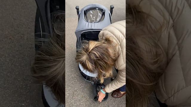 Quick demo how to assemble the Innopet Sporty Dog Show Buggy with Innopet Table accessory смотреть онлайн