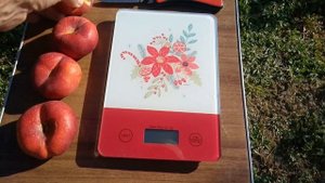 Інжирний нектарин Платеріна 264(PLATERINA 264 )