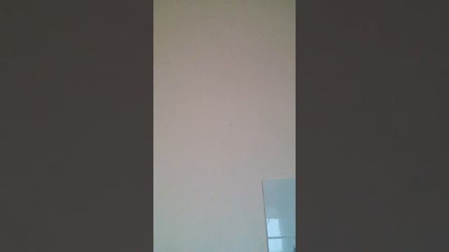 17 марта 2018 г.