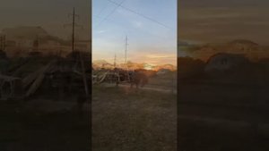 Лошадь бегает и резвиться!!! Песня Heroes Tonight! Horse frolicking!!!