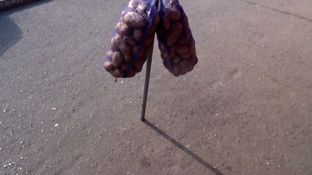 Люберцы. Пешеходная зона. Дорога домой. Торговля на тротуаре. Нарушения. смотреть онлайн