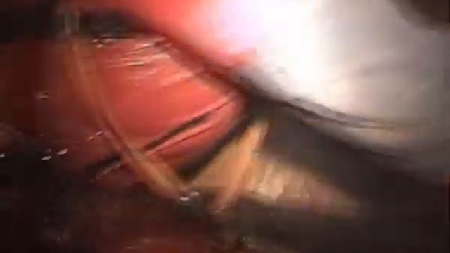 Крымская Флорида.Исследование пещеры Ени-Сала (2007)/ Crimean Florida.Yeni-Sala Cave