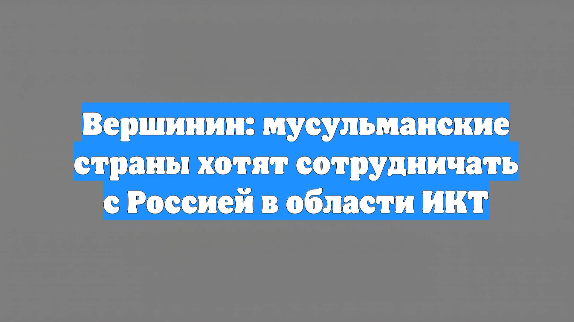 Вершинин: мусульманские страны хотят сотрудничать с Россией в области ИКТ