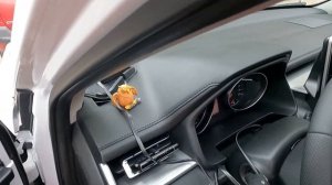 ПРОЕКТОР СКОРОСТИ В HAVAL M6