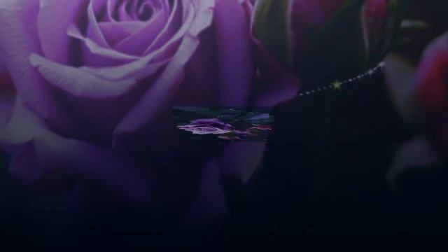 С 8 марта! смотреть онлайн