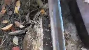 Ковка клюкарзы из сверла Ч.1