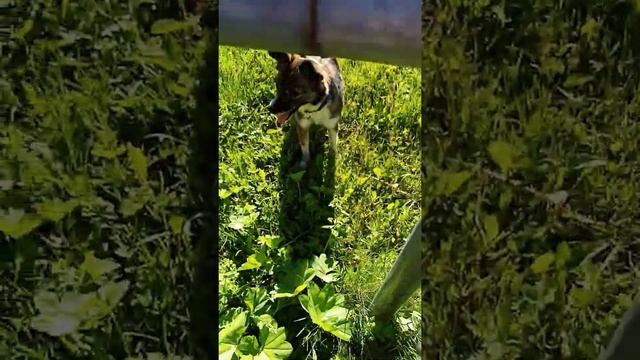 Батут смотреть онлайн