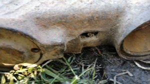 Передний балансир ДТ-75Б