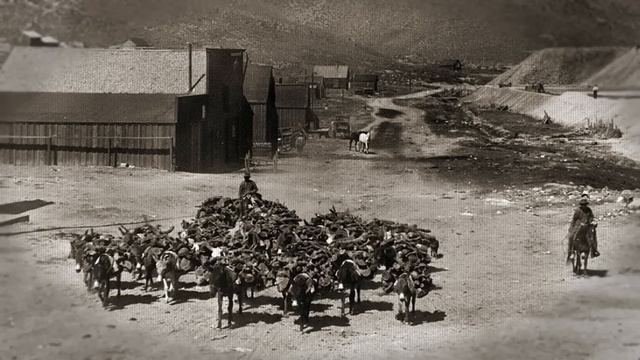 Por que abandonar a Mongólia foi a melhor decisão da História da China? смотреть онлайн