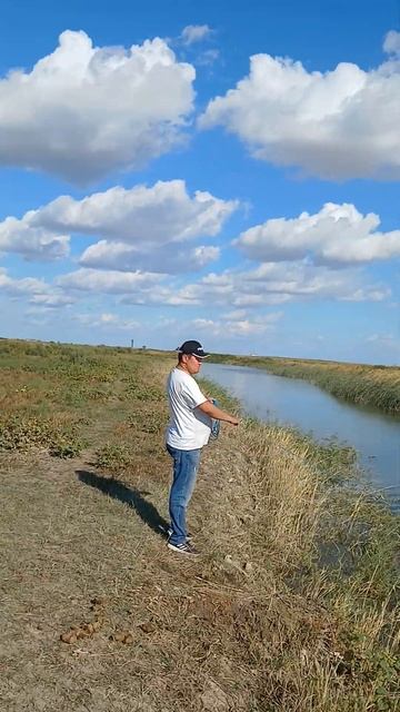 #рыбалка #рыба #рыбы #рыбак #кастинговая #рыба #кастинговая сеть 8 метр смотреть онлайн