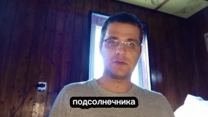 Подсолнечный мед - 6 причин, влияющих на садку меда