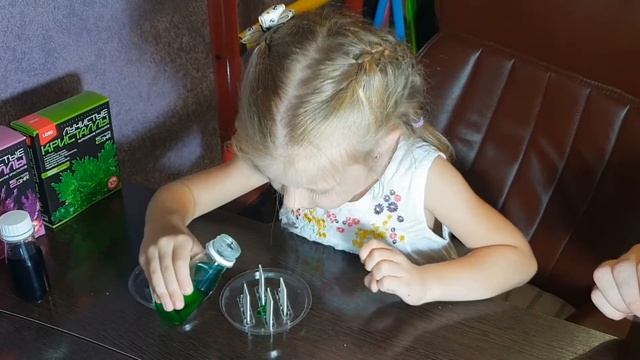 ВЫРАЩИВАЕМ ЛУЧИСТЫЕ КРИСТАЛЛЫ смотреть онлайн