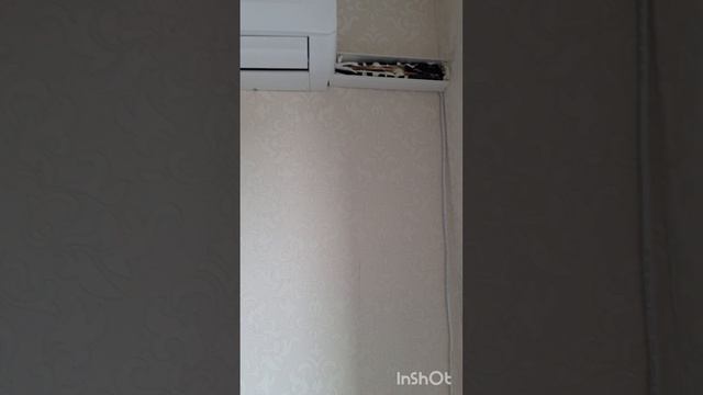Кондиционер Ballu плохо охлаждает/ремонт кондиционера
