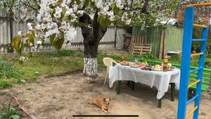 Влог Пасхальный🥚🐣🧁Праздничный стол🥗Поздравление с Пасхой🙏Прогулка по морю🌊 двору,кошечки🐈