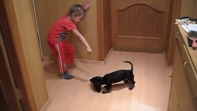 мои сорванцы смотреть онлайн