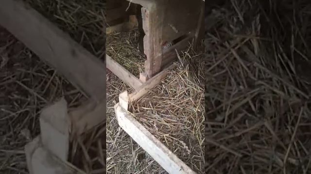 Разница очевидна.температура до и после чистки снега смотреть онлайн