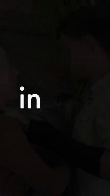 Koala are wild animals not photo props смотреть онлайн