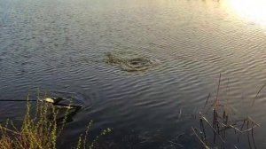 WhatsApp Video 2025-04-19 at 19.01.04