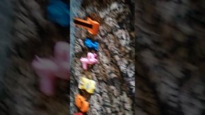 15 гаджитов от Алисы