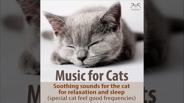 Sleep Music for Cats Part 6: Fifth Down Down-Db, Falling Asleep Beta - with White Noise and... смотреть онлайн