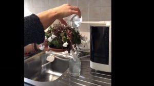 Канген вода - уход за цветами и растениями.