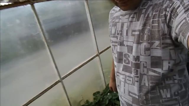 вкусный шашлык и отдых от работы смотреть онлайн